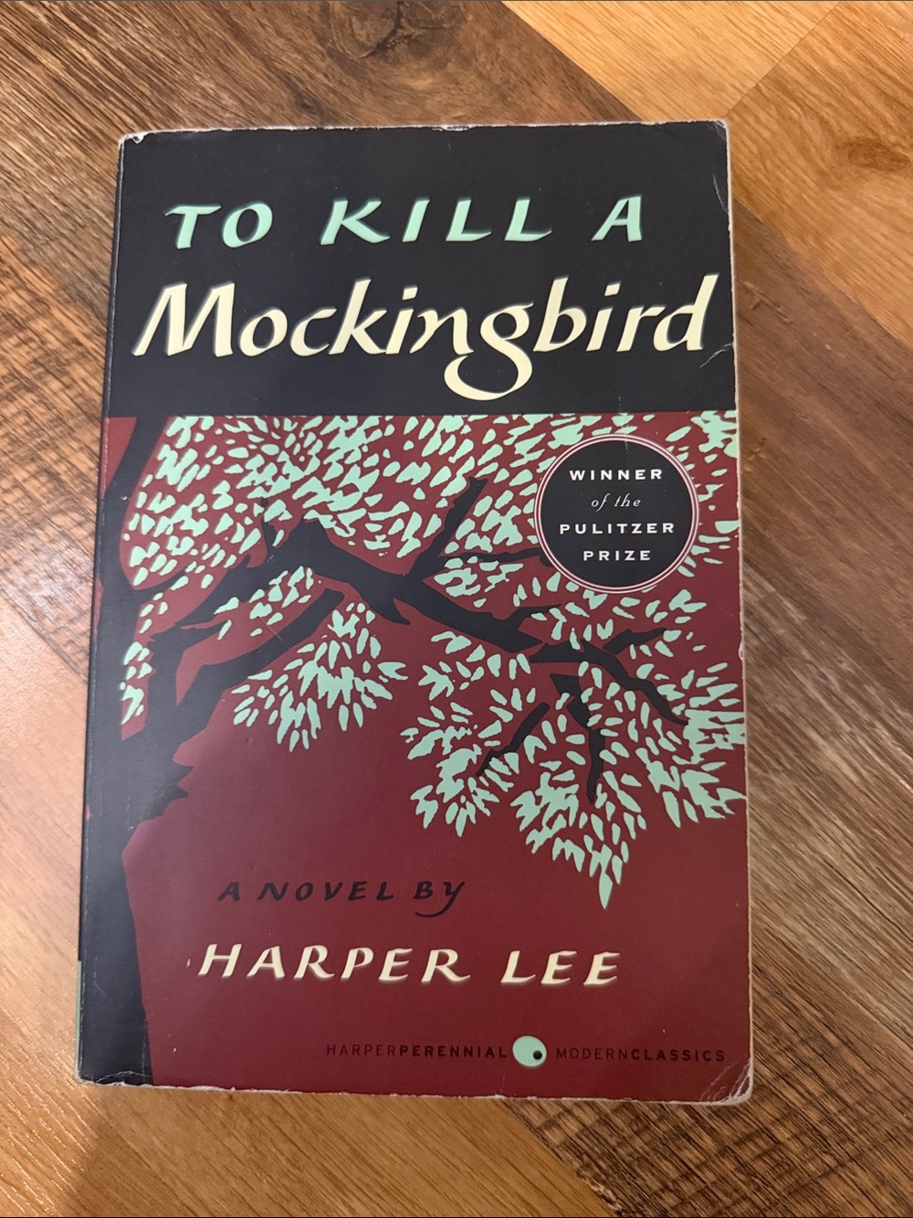 To Kill a Mockingbird by Harper Lee - Red & Mint Green Cover